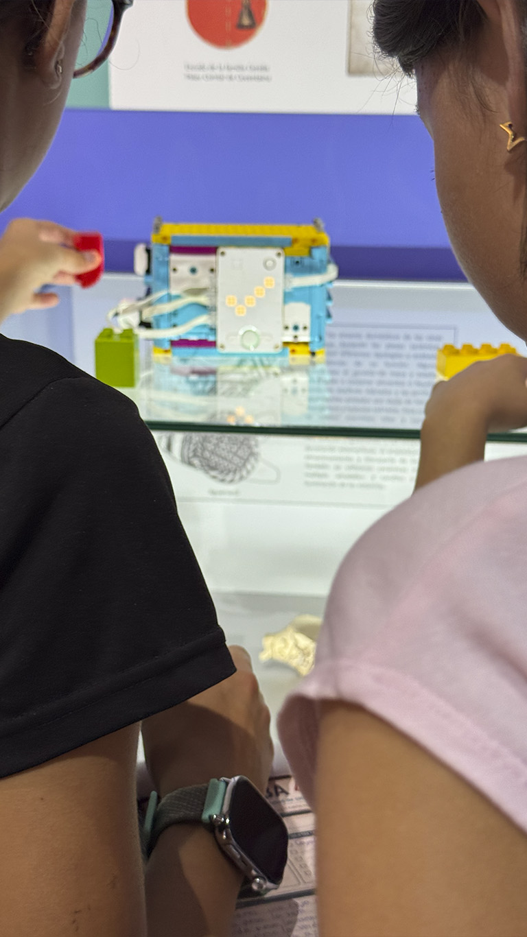 EscapeKids: La Historia Robada en el Museo de Aspe - Buscando pistas en las vitrinas del museo