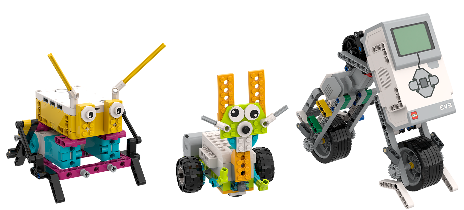 Robot Bicho